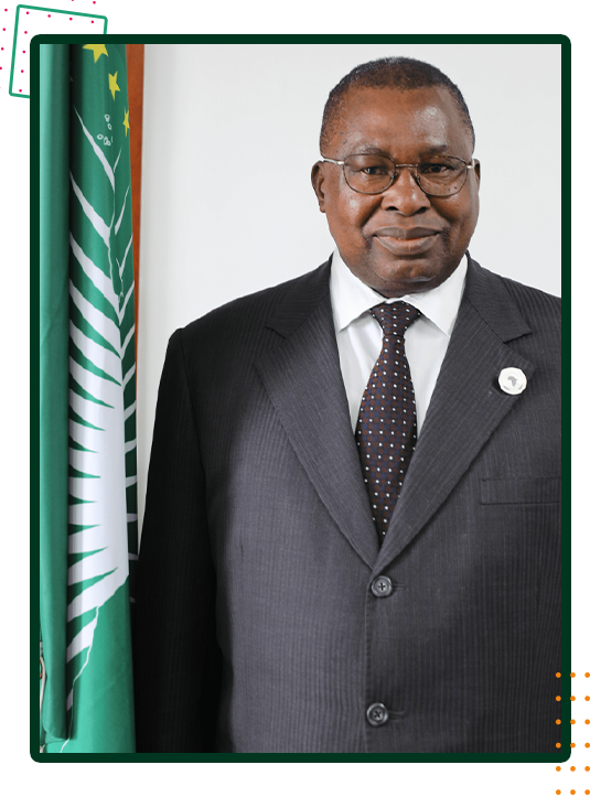 Amb. Albert Muchanga, Commissioner for the Department of Economic Development, Trade, Industry and Mining, African Union Commission